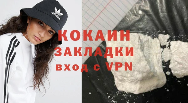 шишки Абинск